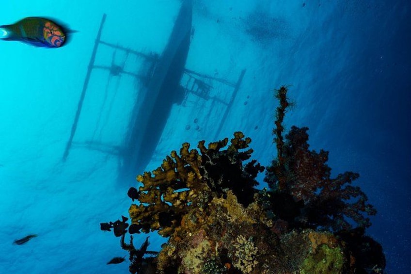 An underwater scene with a shipwreck, coral formations, and a fish swimming near the wreck. 4