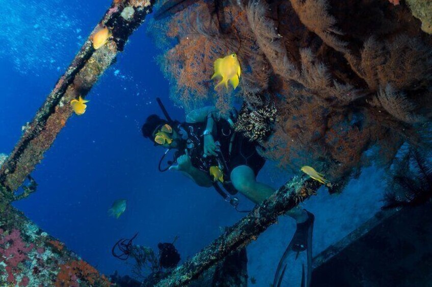 DiveGurus -Scuba Diving in Boracay 2