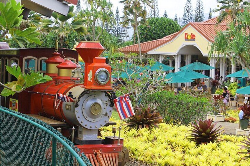 Not only do we visit the Dole Plantation, but we give you enough time to either ride the train or solve the worlds largest outdoor maze. 2