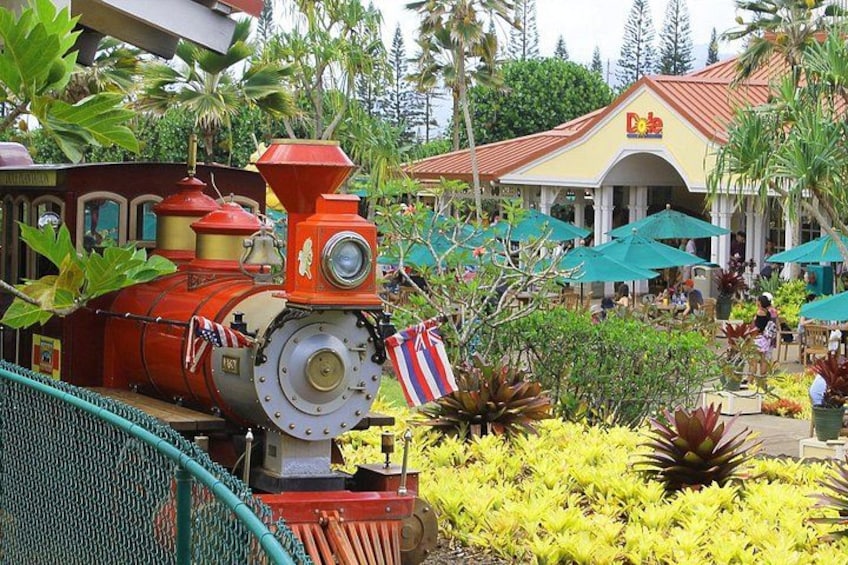 Not only do we visit the Dole Plantation, but we give you enough time to either ride the train or solve the worlds largest outdoor maze. 4