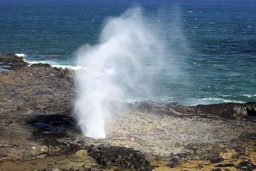 Un géiser en erupción cerca de una costa rocosa, con olas del océano al fondo. 3