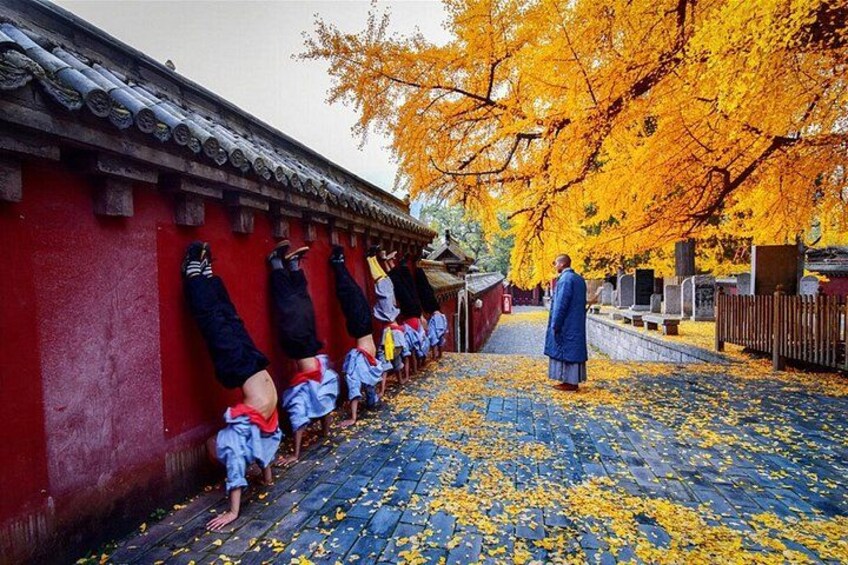 Shaolin Temple 2