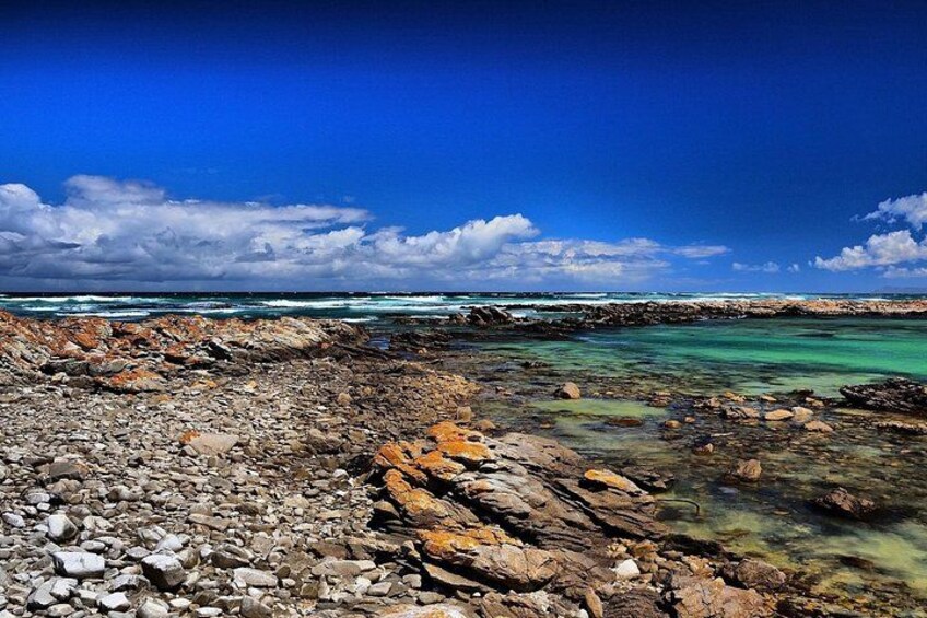 Cape Agulhas 1