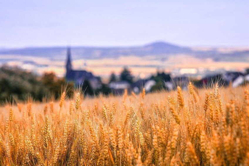 Wheat Fields 5
