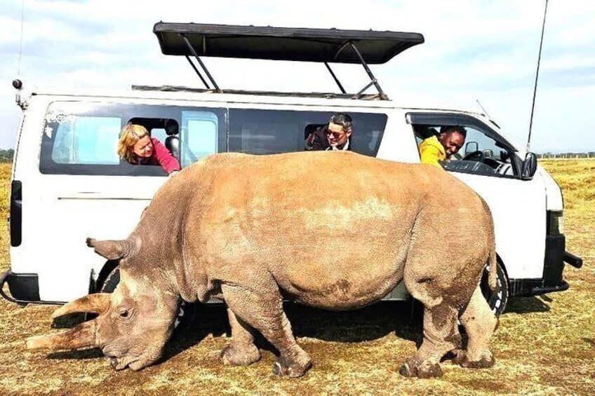 Day tour to Olpejeta Conservancy from Nairobi 1
