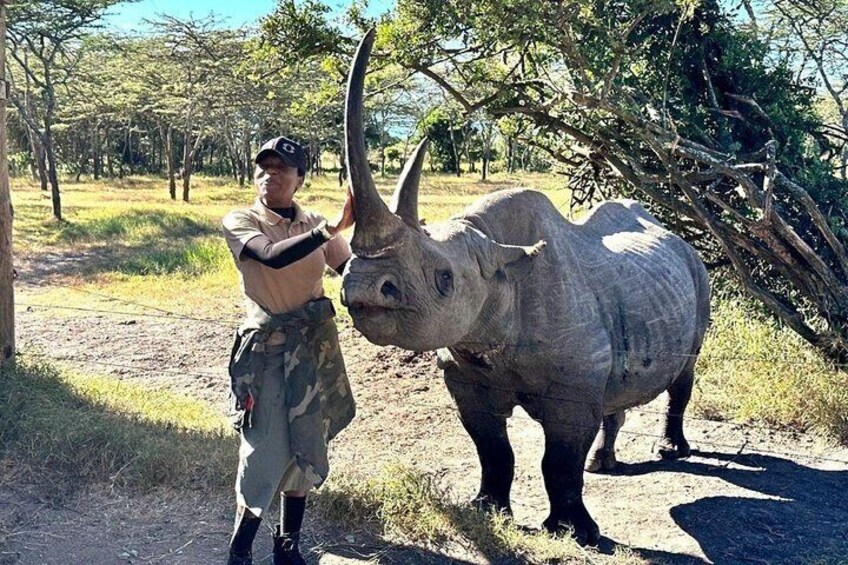 Day tour to Olpejeta Conservancy from Nairobi 3
