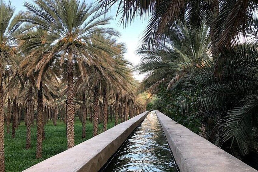 Birkat Al Mouz 1