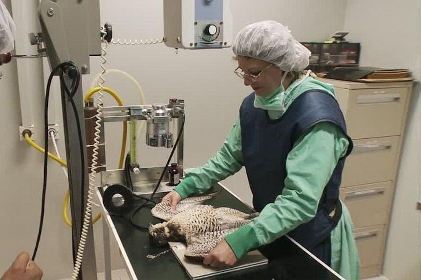 A person in a lab coat and hairnet working with a machine, possibly in a laboratory setting. 2