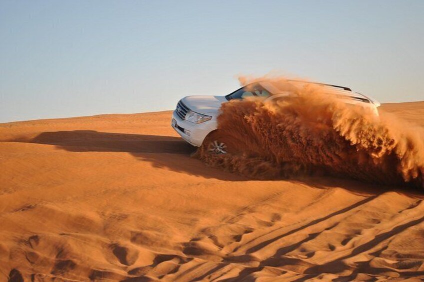Dune Safari 2