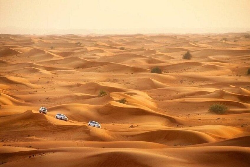 Doha: Desert Safari With Quad bike ,Camel Ride And Sand Boarding 4