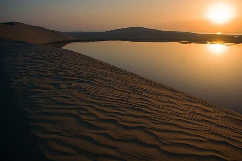 Doha: Desert Safari With Quad bike ,Camel Ride And Sand Boarding 5