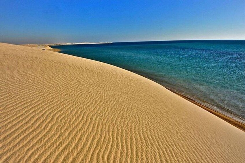 Doha : Half Day Desert Safari With SandBoarding and Camel Ride 2