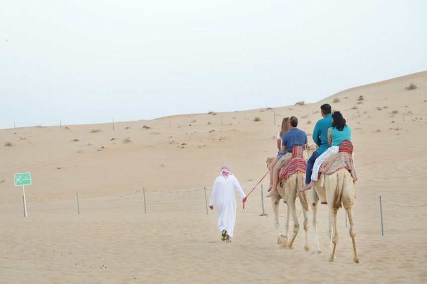 Abu Dhabi Morning Desert Safari 1