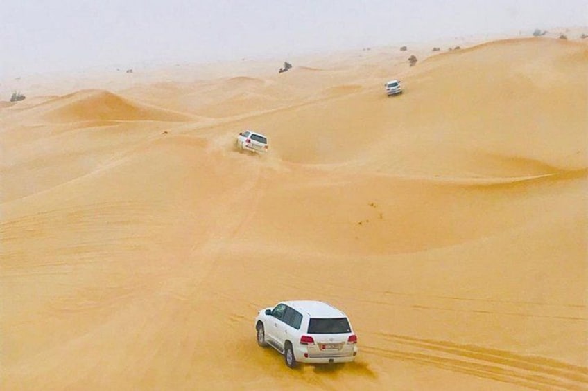 Abu Dhabi Morning Desert Safari 5