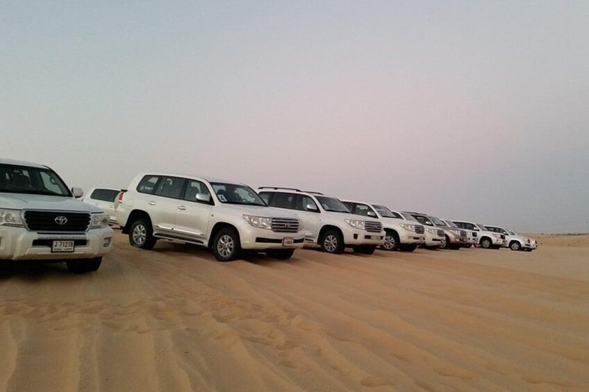 Abu Dhabi Morning Desert Safari 4