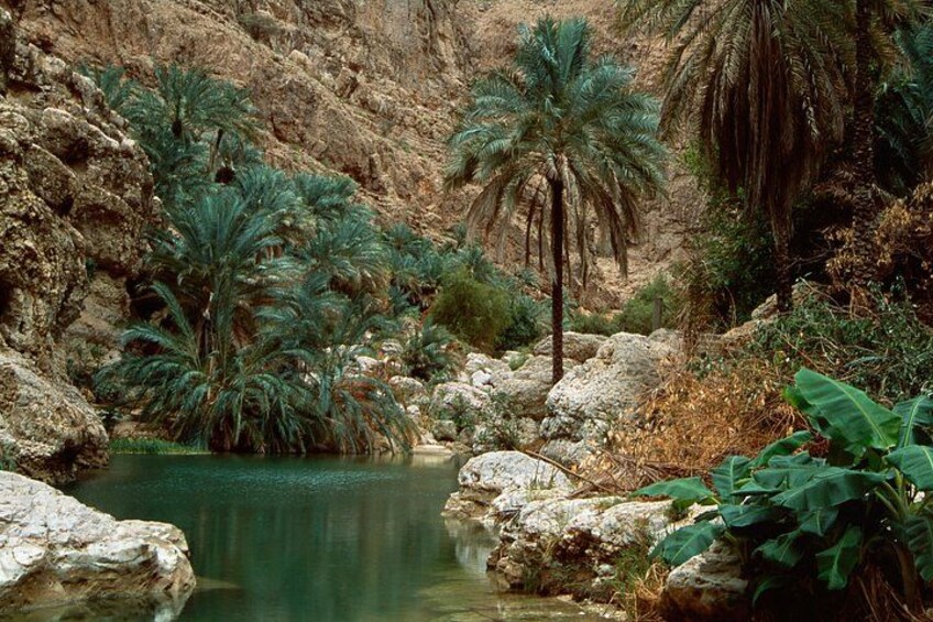Wadi Shab and Bimmah Sinkhole Group Full Day Tour 4