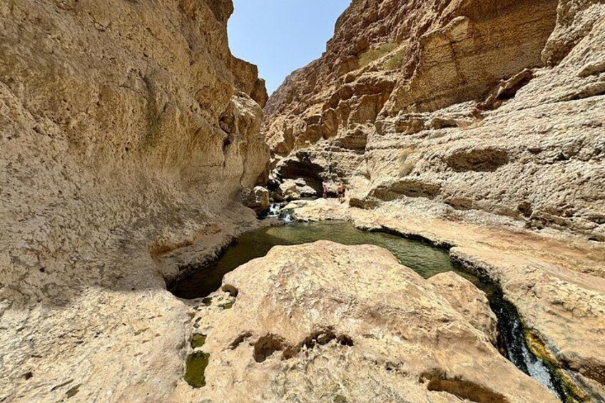 A narrow canyon with a stream flowing through it. 2