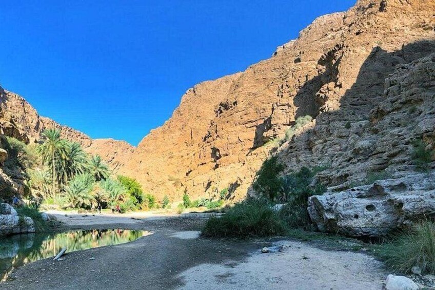A canyon with a river, rocky cliffs, and palm trees. 3