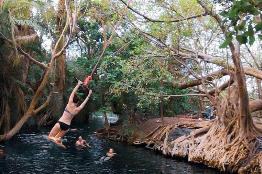 Materuni Waterfalls, coffee tour & Kikuletwa Hot Springs 3