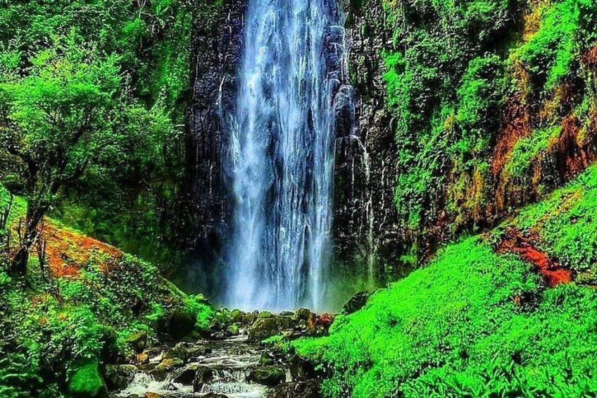 A waterfall surrounded by lush green foliage. 2