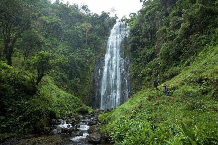 A waterfall cascading down a lush green hillside with a person standing on the right side. 3