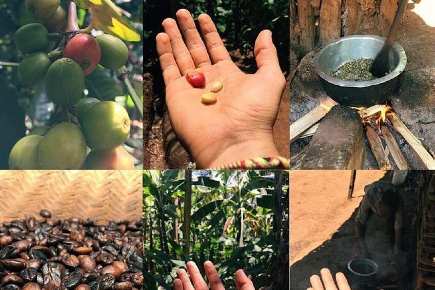 Materuni Waterfalls, coffee tour & Kikuletwa Hot Springs 2