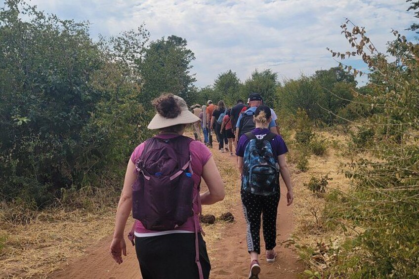 Un grupo de personas caminando por un sendero de tierra rodeado de vegetación. 4