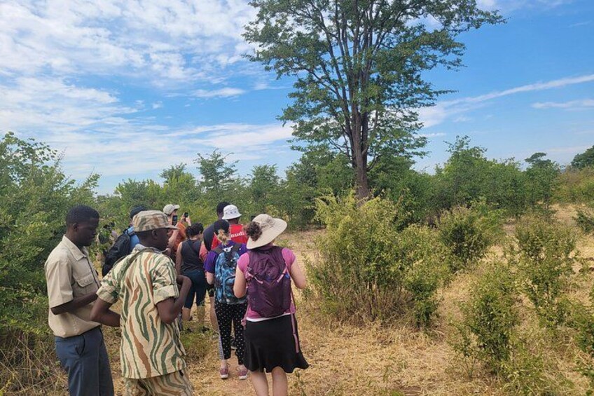 Un grupo de personas de pie al aire libre, posiblemente en un sendero para excursionistas, rodeado de pastizales secos y árboles. 5
