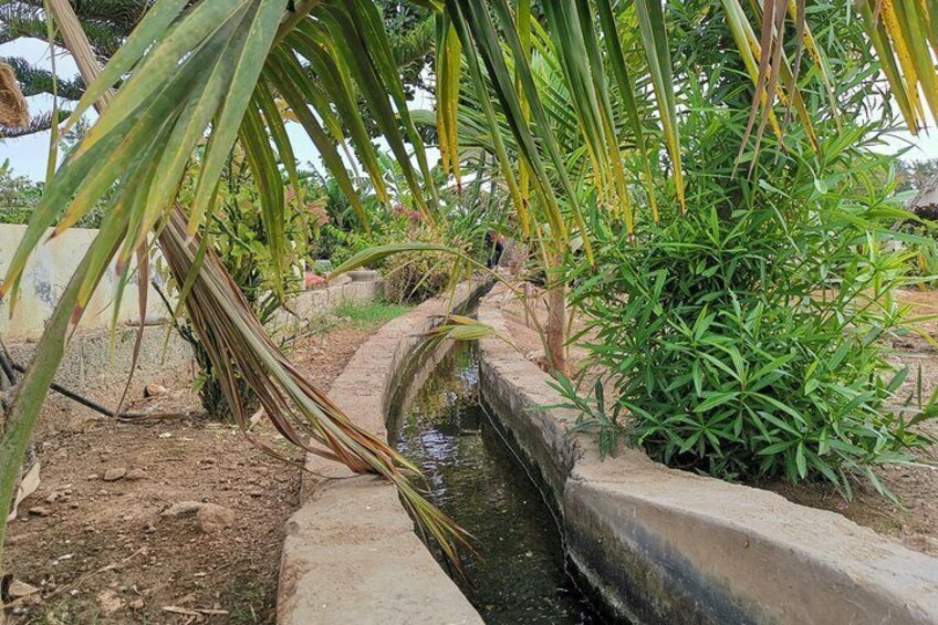 Salalah´s plantations - irrigation channels