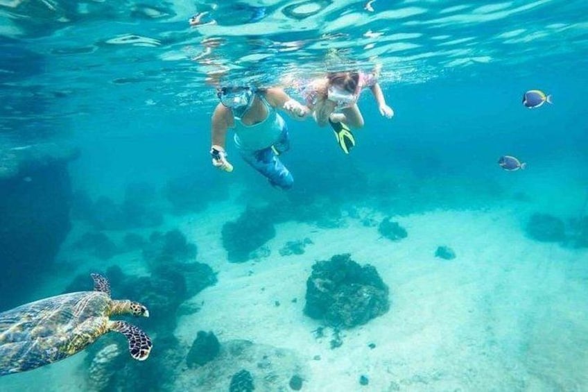 Dimaniyat Island from Muscat,Oman day tours 5