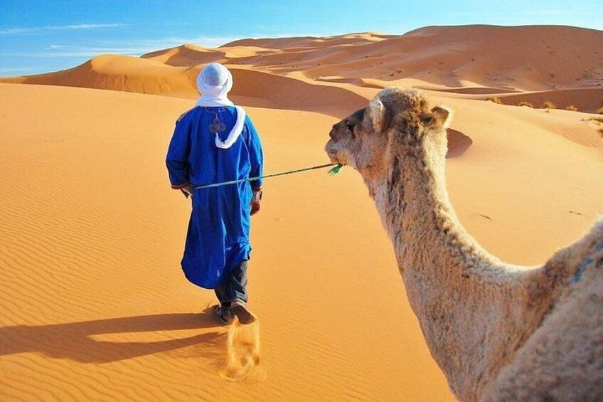 A person in traditional attire walking a camel across a desert landscape. 5