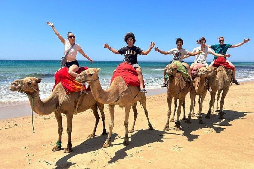 Camel trek in Tangier Morocco 2