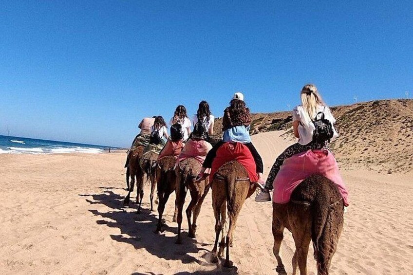 Tangier camel ride 5