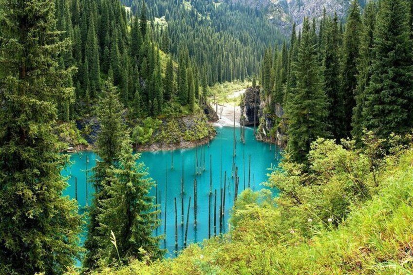 A turquoise lake surrounded by dense forest and a mountain range. 3