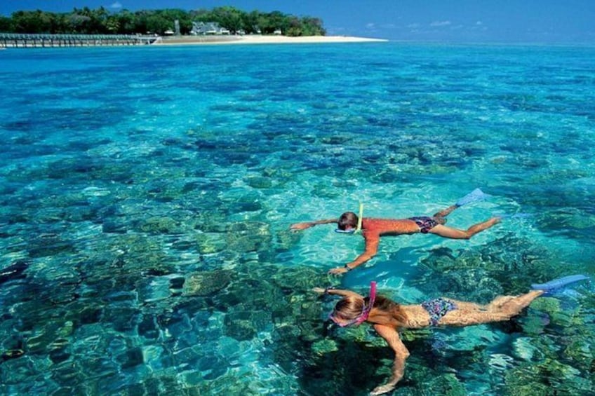 Day-Tour to the Red Sea from Cairo 1