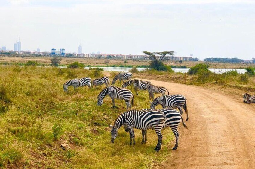 Full-Day Nairobi National Museum, Giraffe Centre and Nairobi National Park Tour