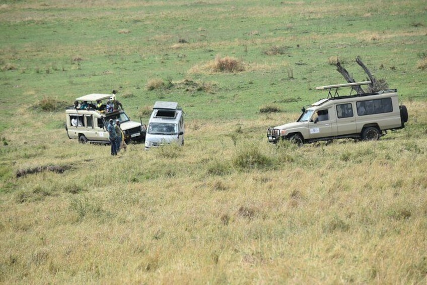 7 Day Maasai Mara, Lake Nakuru, Lake Naivasha and Amboseli Safari 4
