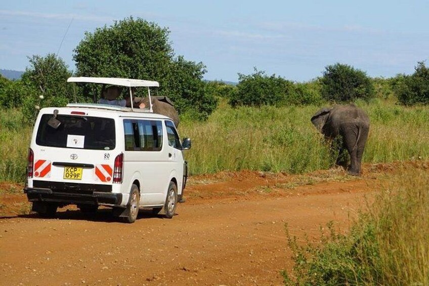 game drive 2