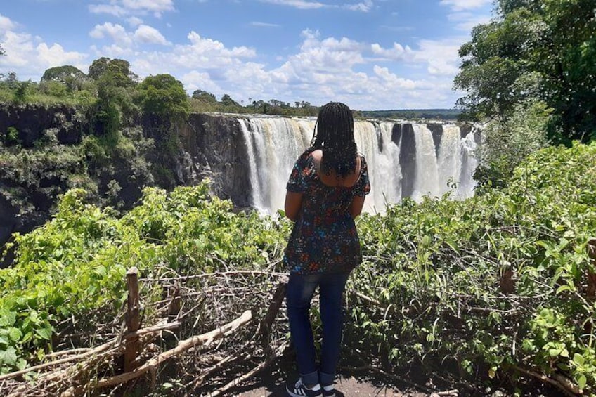 Private Guided Tour of the Falls with Pickup 3