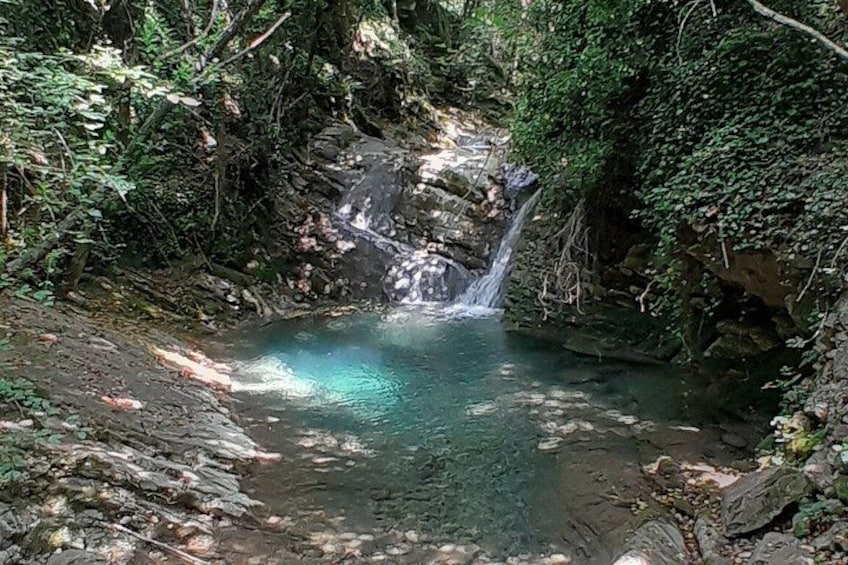 A waterfall in a forested area with clear water and surrounding greenery. 2