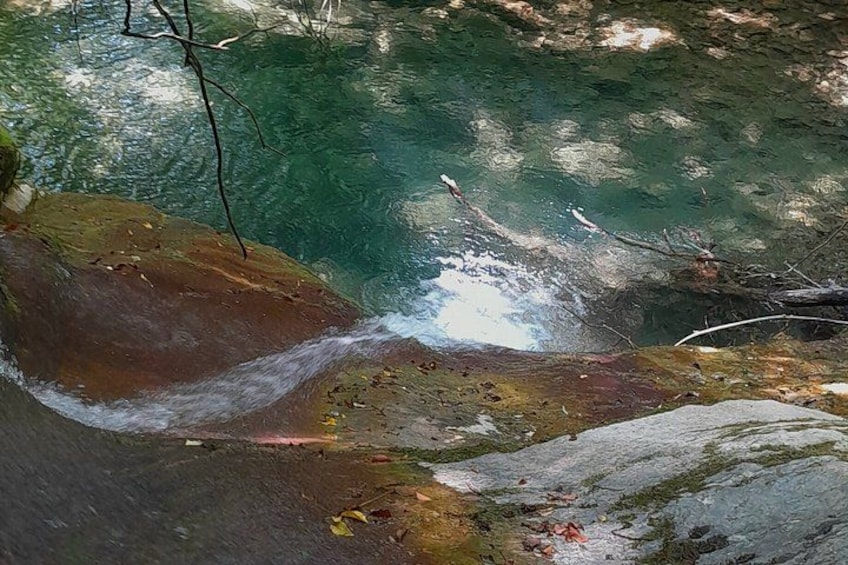 A clear stream with rocks and fallen leaves. 5