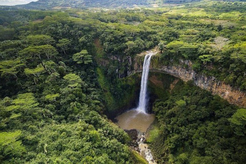 A waterfall surrounded by dense forest. 1