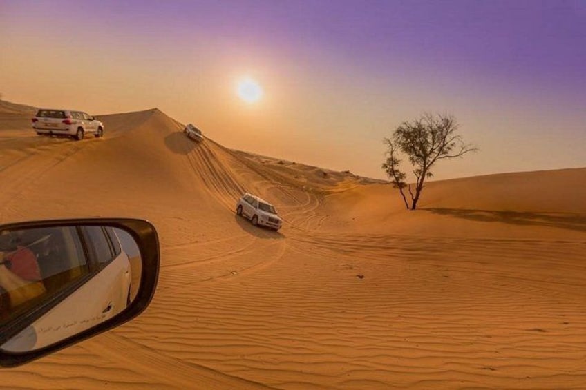 Un paysage désertique avec des dunes de sable, un arbre et des véhicules. 4