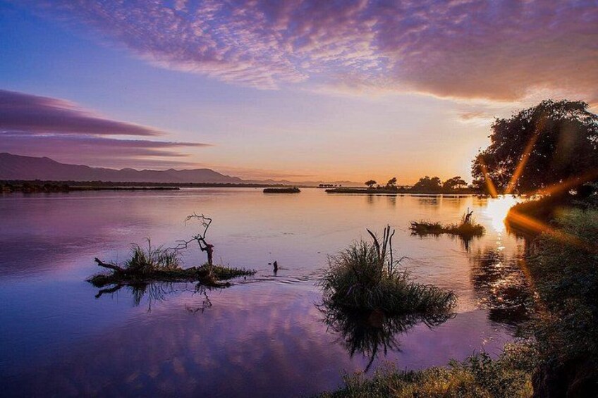Un lago tranquilo al atardecer con el reflejo de un árbol, una pequeña isla y montañas distantes. 3