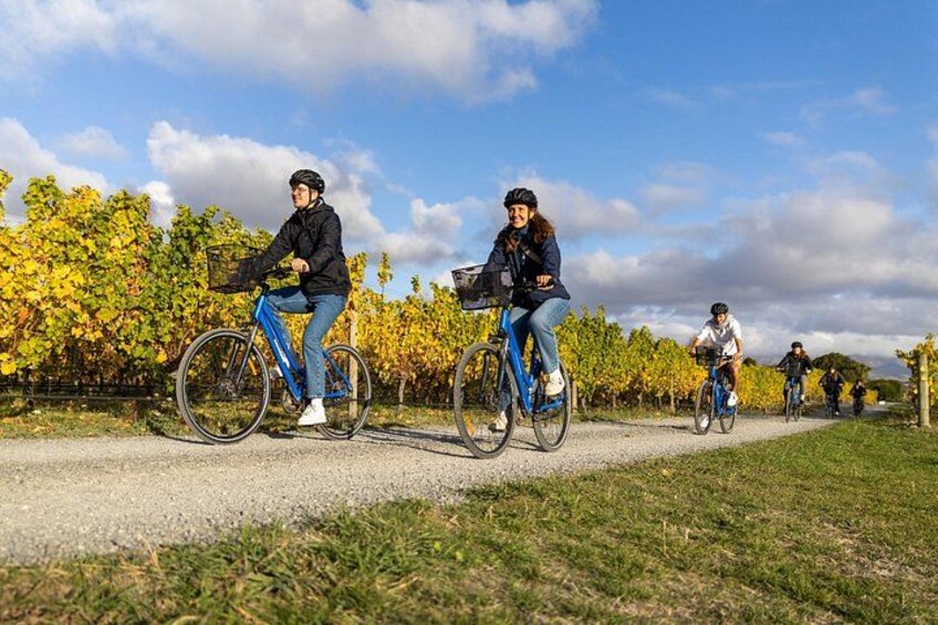 Full-Day Marlborough Wine Region Bike Hire 4