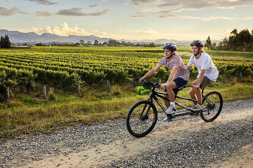 Full-Day Marlborough Wine Region Bike Hire 3