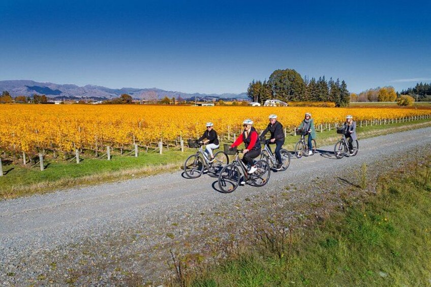 Full-Day Marlborough Wine Region Bike Hire 5