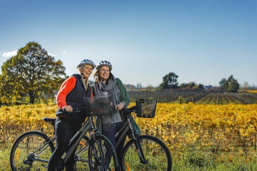 Full-Day Marlborough Wine Region Bike Hire 1
