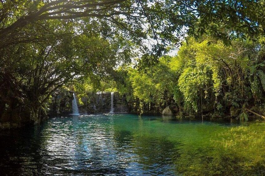 Un río tranquilo con cascada, rodeado de exuberante vegetación y árboles. 4