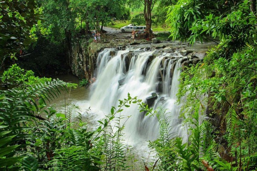 Una cascada rodeada de exuberante follaje. 2